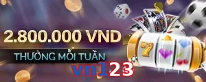 vn123